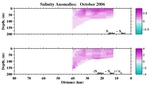 Salinity Anomalies