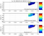 Chlorophyll, CDOM,<br>and Backscatter