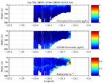 Chlorophyll, CDOM,<br>and Backscatter