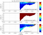 Chlorophyll, CDOM,<br>and Backscatter