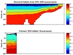 Salinity Anomalies