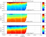 Temperature, Salinity,<br>and Density