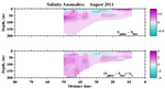 Salinity Anomalies