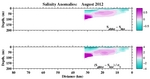 Salinity Anomalies