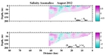 Salinity Anomalies