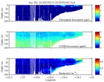 Chlorophyll, CDOM,<br>and Backscatter