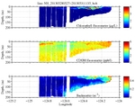 Chlorophyll, CDOM,<br>and Backscatter