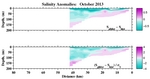 Salinity Anomalies