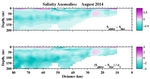 Salinity Anomalies